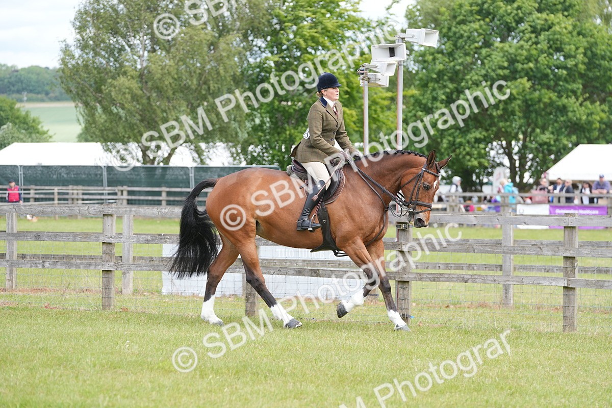 SBM_15008 - Class 100-102 - RIHS Working Hunter