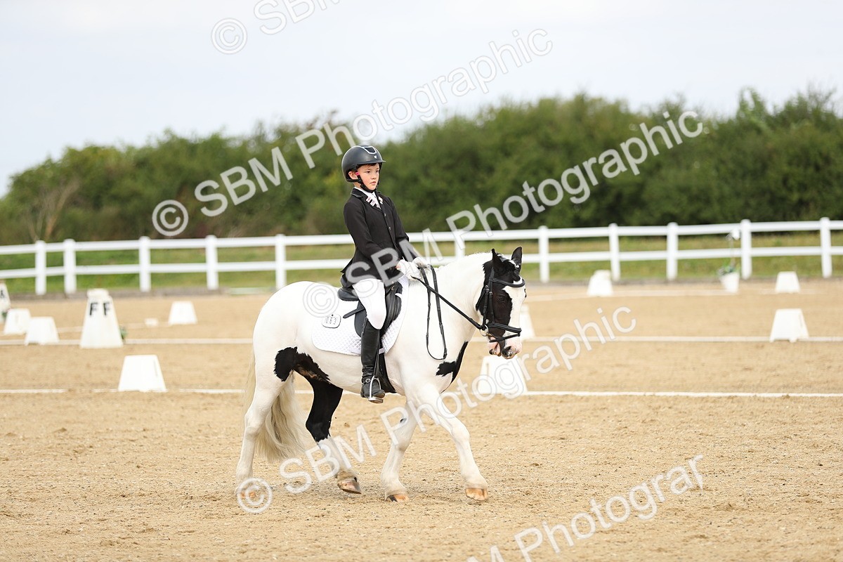 SBM_016352 - Class 13 - Novice 23 - 11.25-12.35