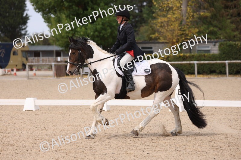 20250819-1355 - Class 4 - Novice 2