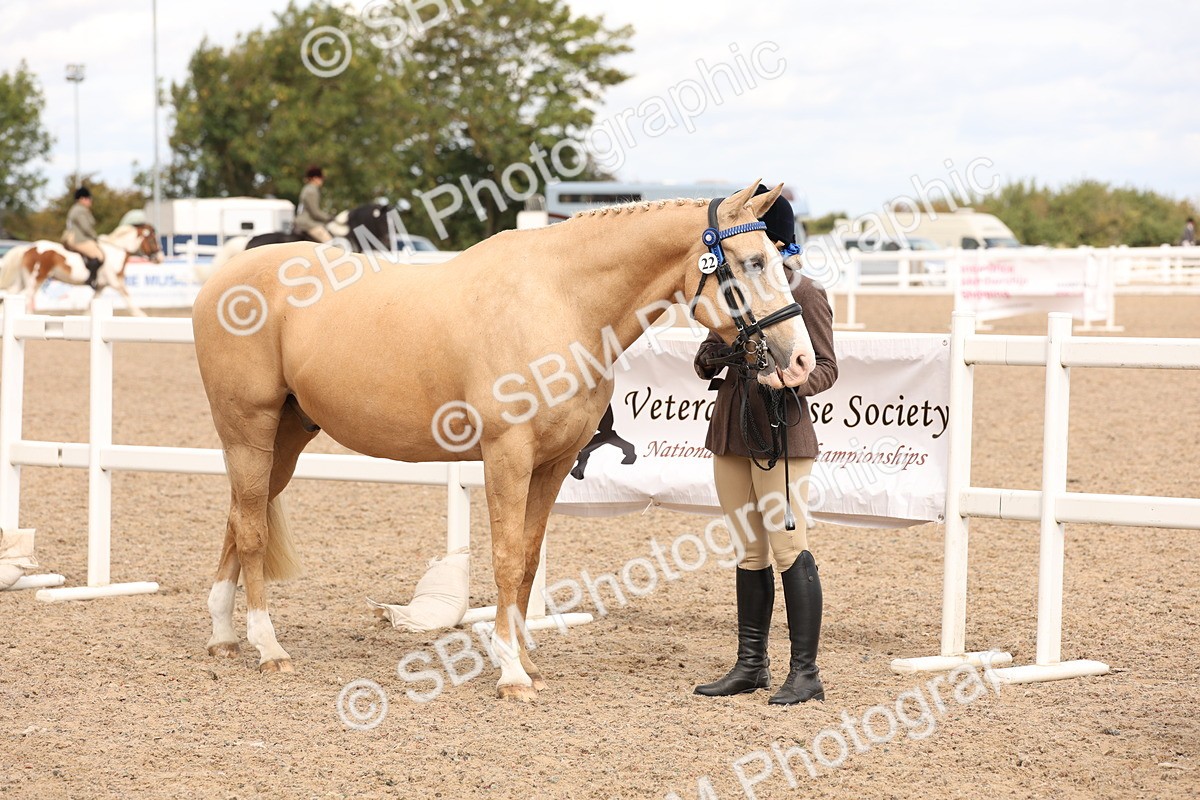 SBM_14630 - Class 208 - IH Veteran Horse