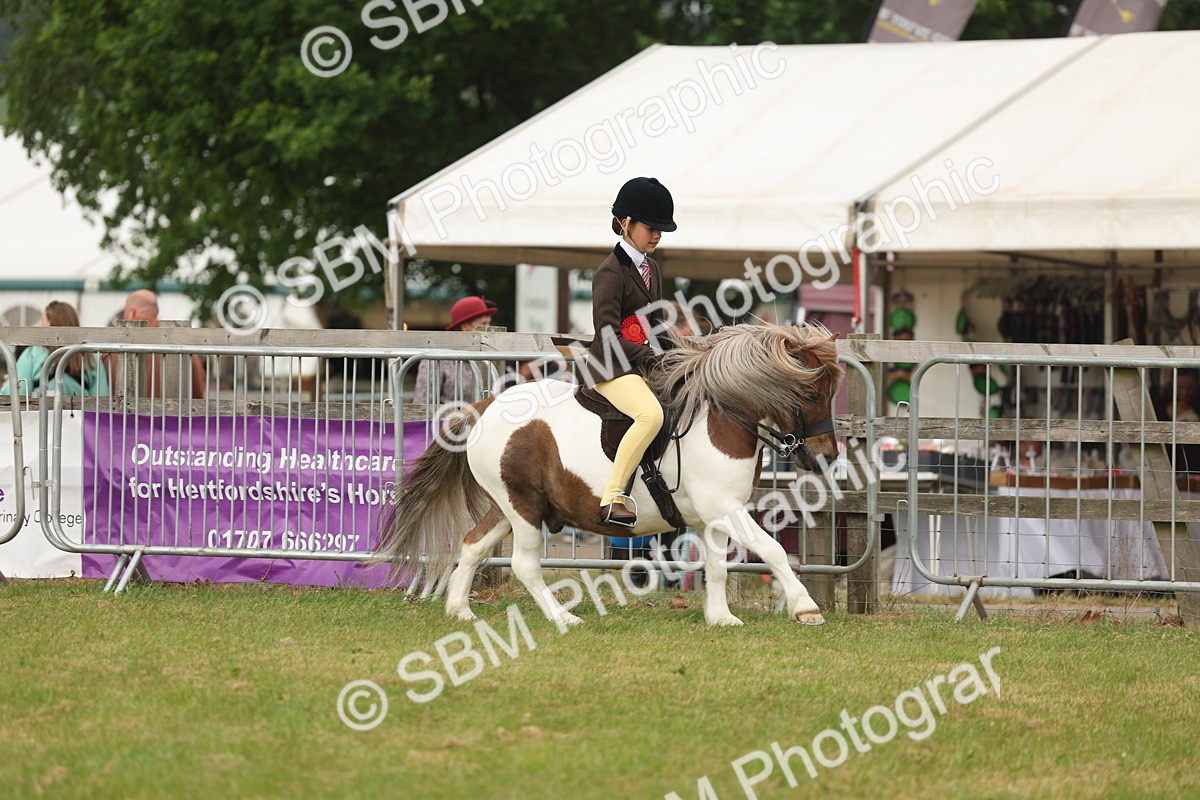 SBM_09118 - Class 78-80 - Ridden M&M Non Welsh Ponies