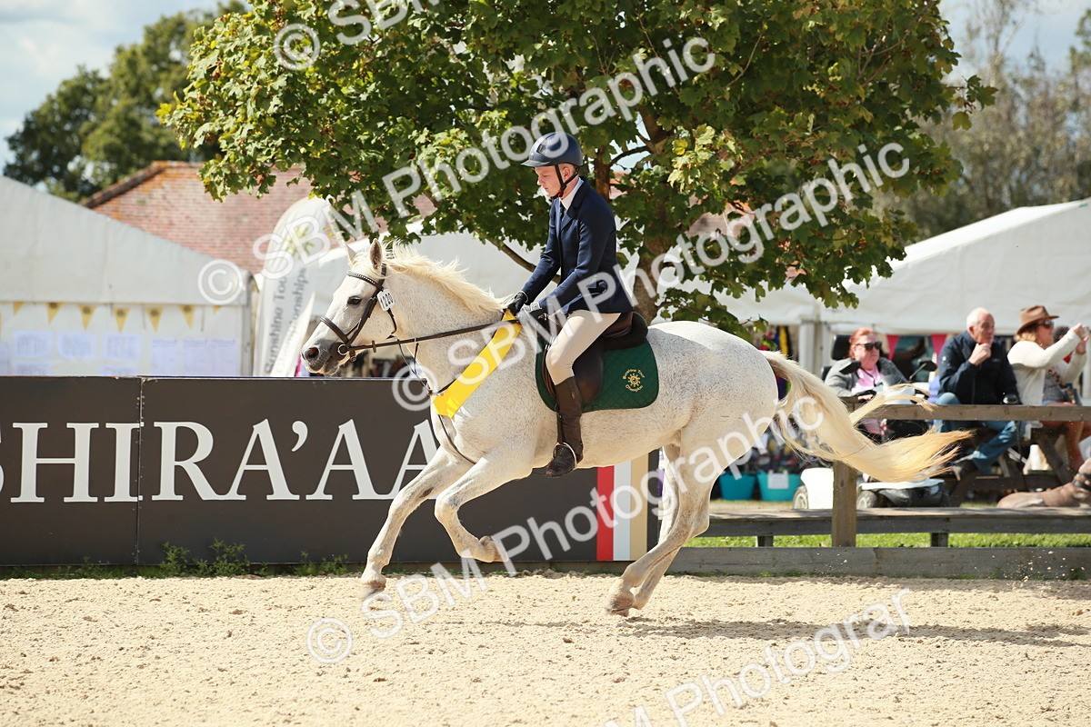 SBM_06332 - J29 Senior 65cm Championship