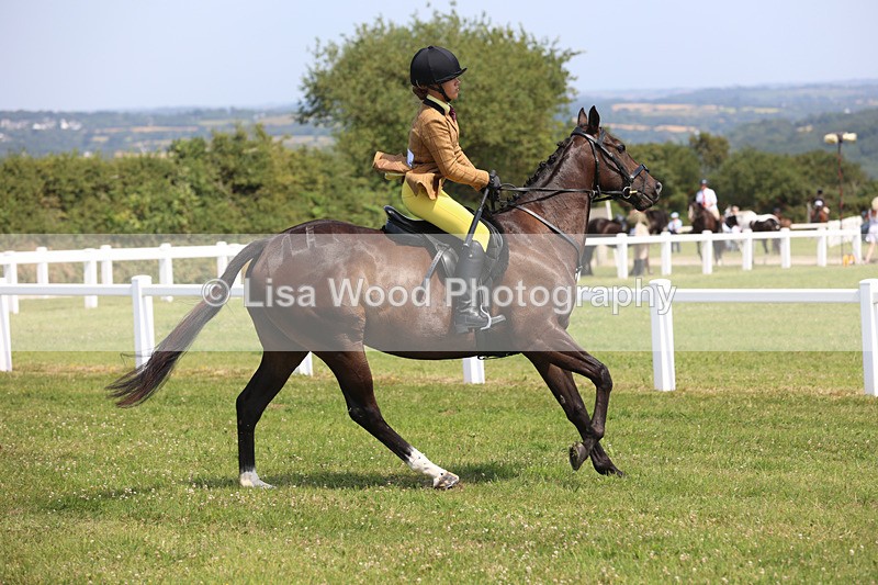 JPP_3259 - Class 22: Working Hunter 70cm