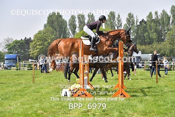 BPP_6979 - CLASS 3 RHS Fox Champ Qual (1.20m)