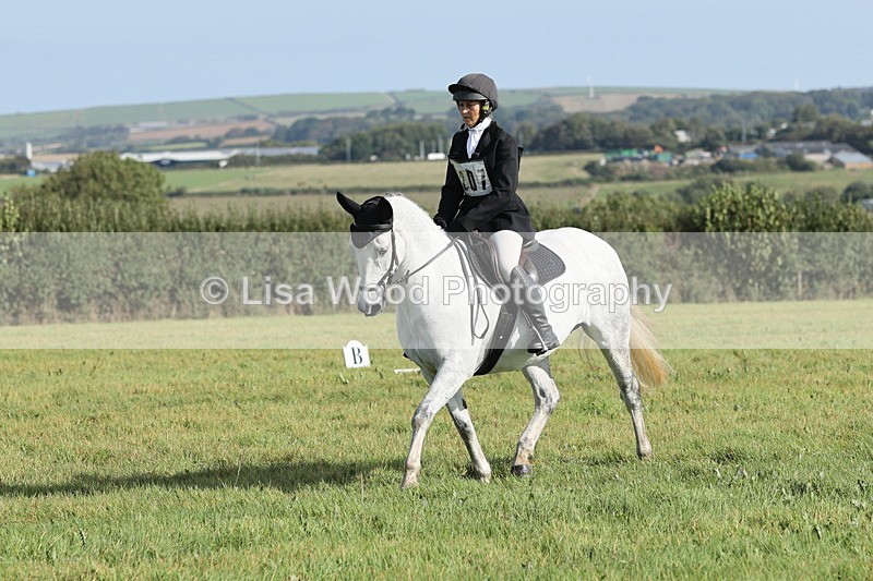 JPP_8066 - Class 2A: Trekenning Open: Dressage