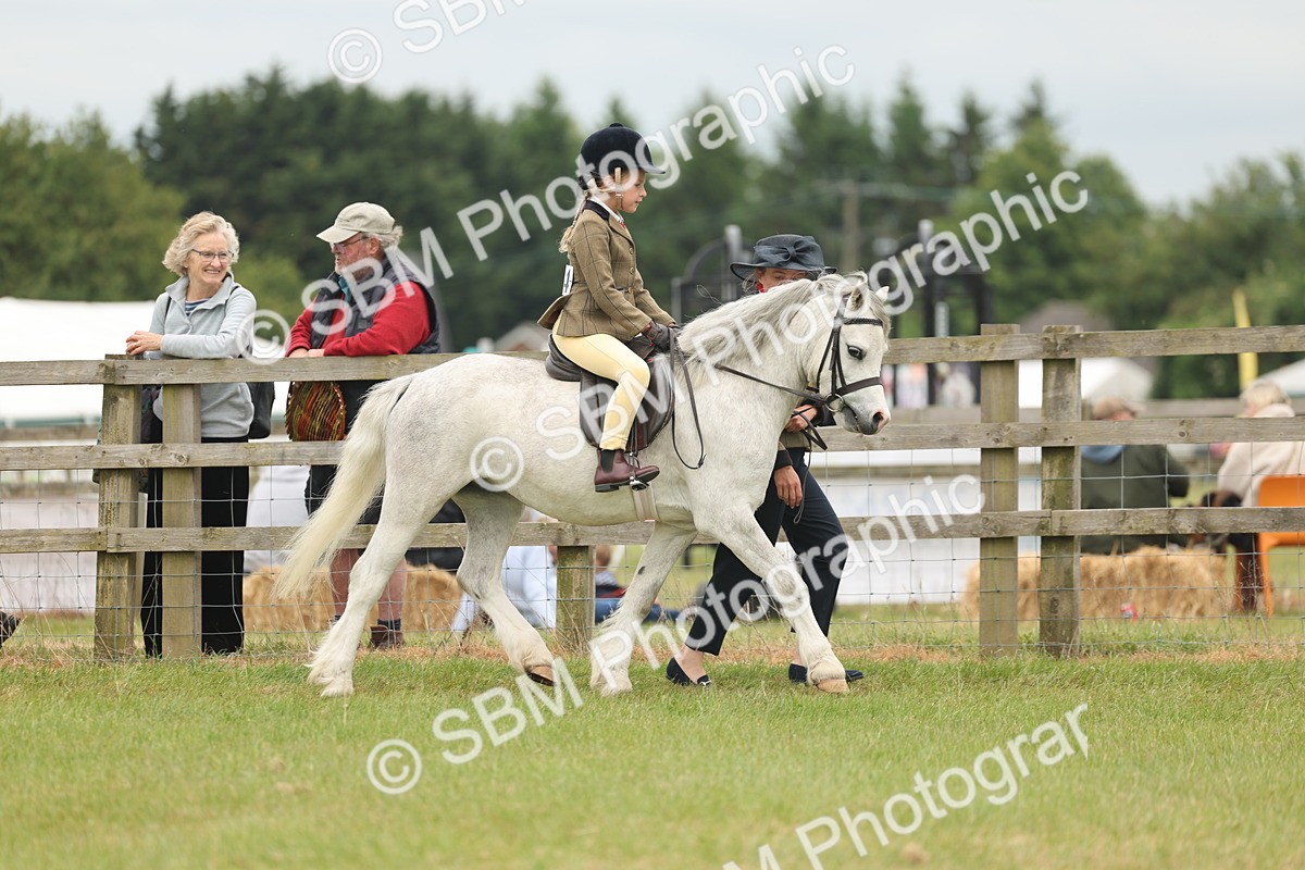 SBM_06735 - Class 74-75 - M&M Lead Rein and First Ridden Pony