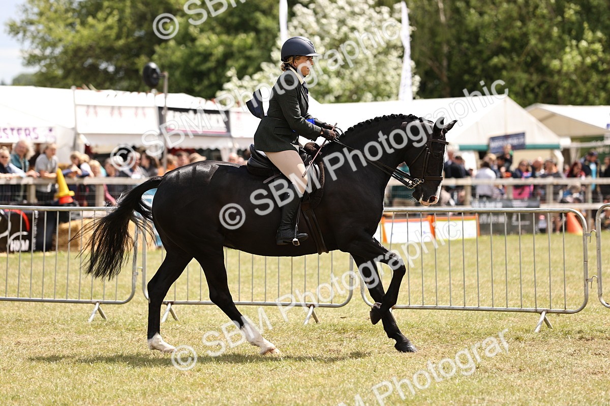 SBM_14786 - Class 88-89 - LIHS BSHA Rising Star of Ridden Hunter Type