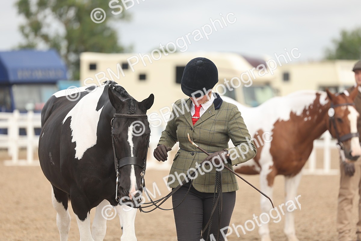 SBM_02132 - Class 15 - IH Coloured