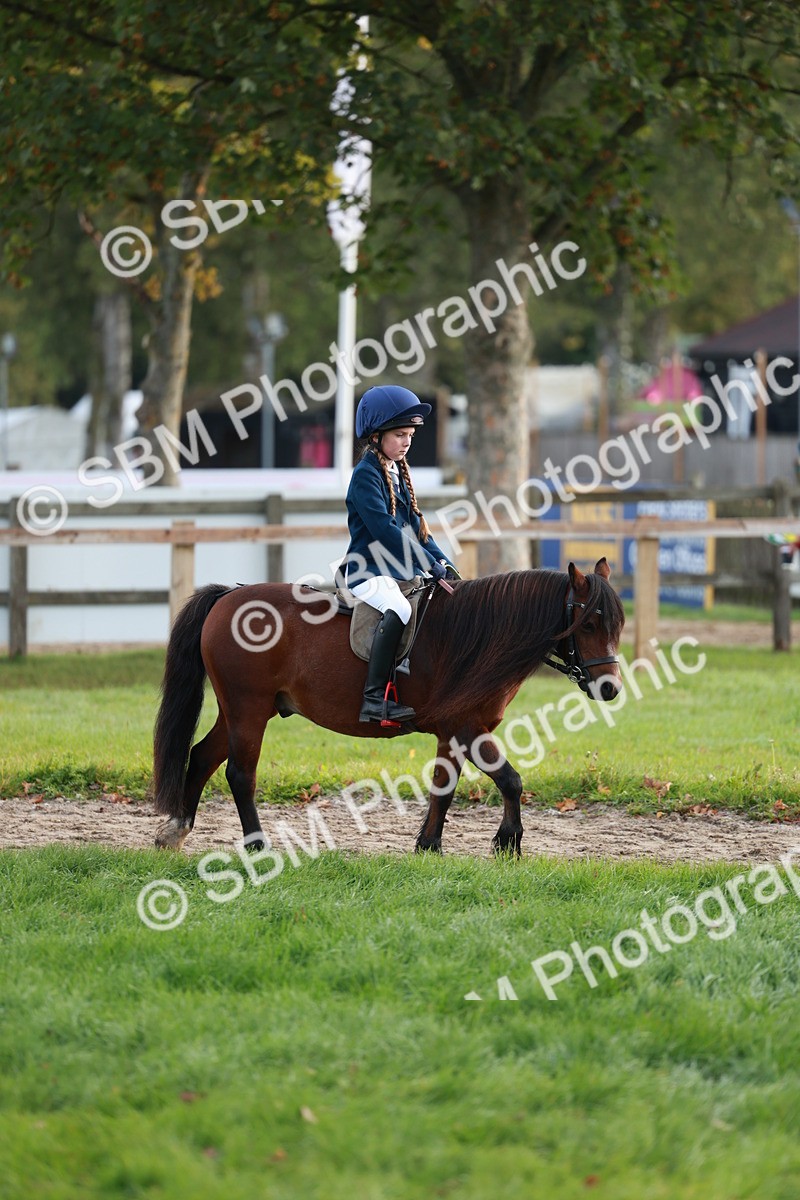 SBM_56286 - S39 - Starters In Hand Showing