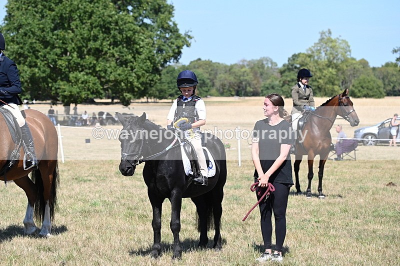 WJ6_8489 - Class 37a Best Loan Pony Ridden