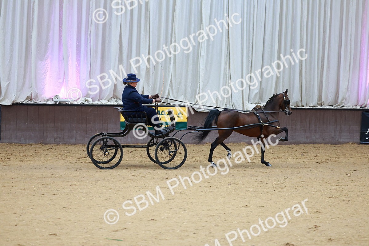 SBM_000665 - Class 9 - HHS Championship Intl Hackney Pony to a Showwagon