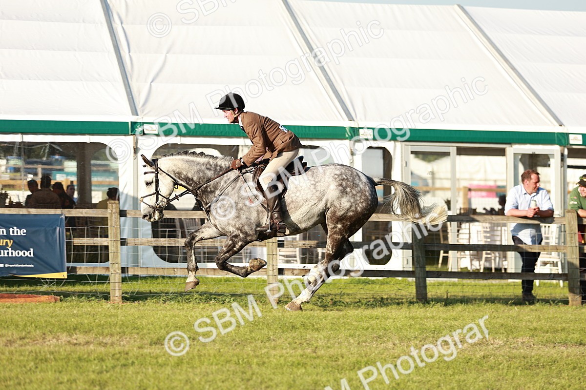 SBM_20491 - Class 117-119 - Sport Horse Working Hunter
