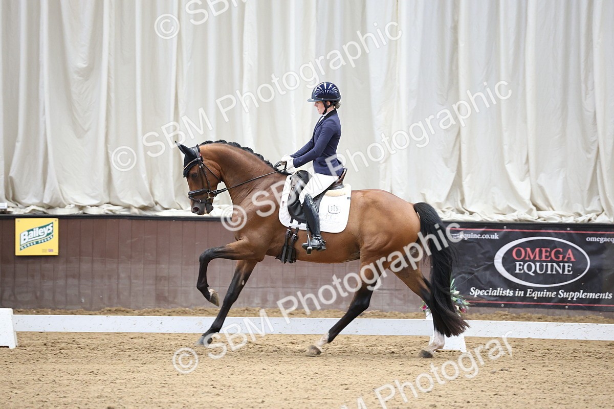 SBM_002196 - Class 5 - Novice 6 Gold - 9.00-10.10