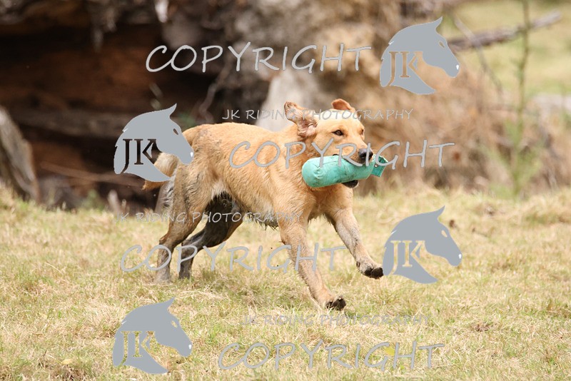 2R6A3554 - ​TEAM A: BORDER COUNTIES & COTSWOLDS 1-2-3