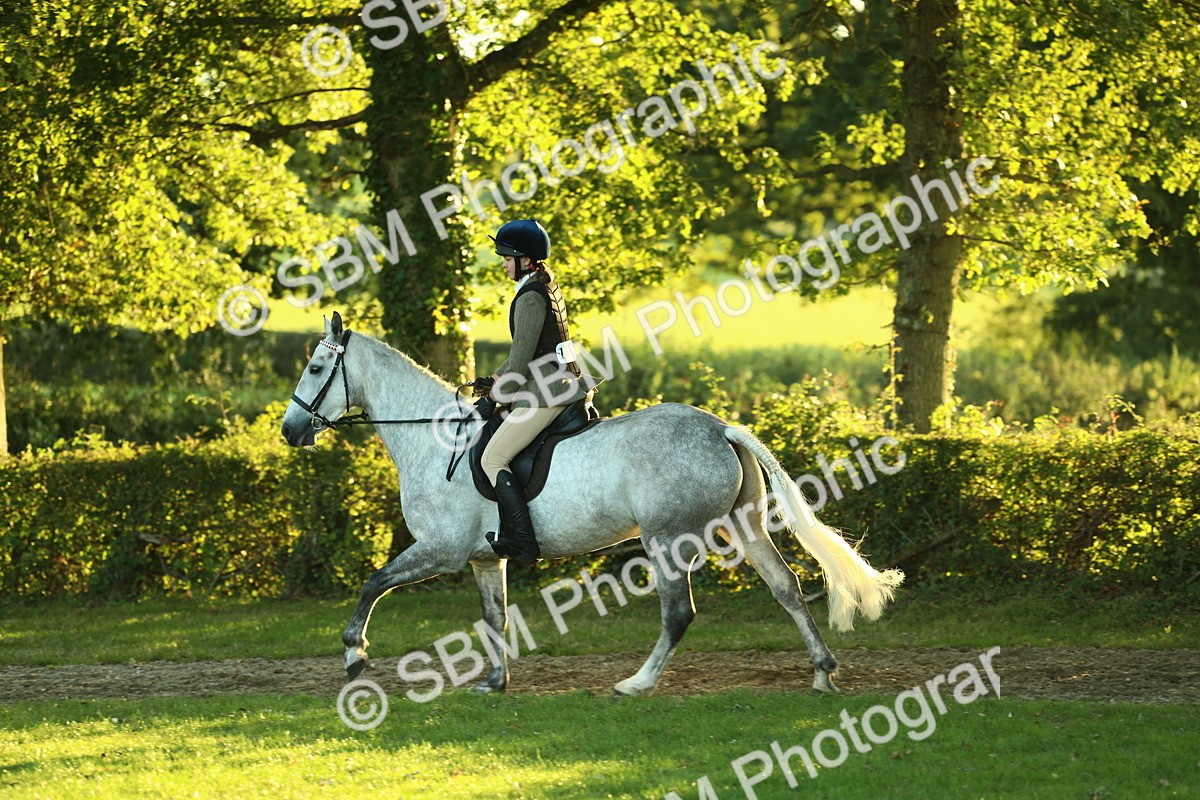 SBM_56479 - S14 - Riding Club Horse