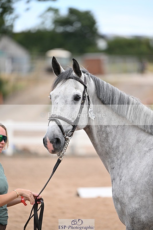 250716-140744-00921 - Trot Up 1.30 to 2.30
