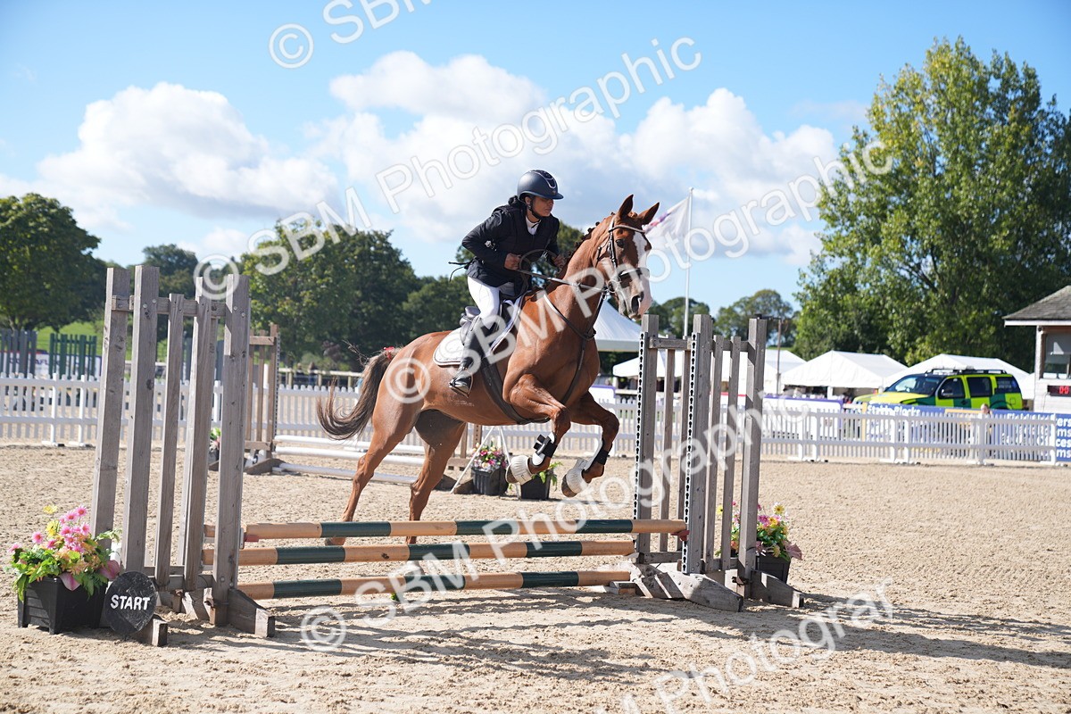 SBM_02424 - J54 Clear Round 45cm