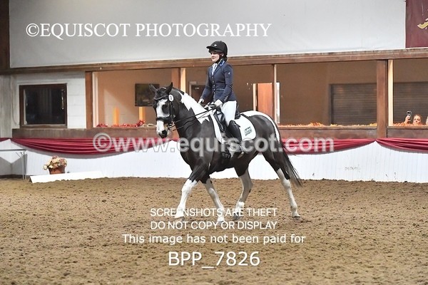 BPP_7826 - ELEM TEST 6