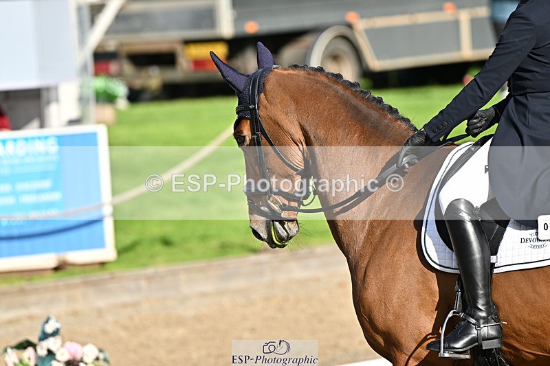 241023-143904-00353 - 102-Holly.Morris-ROYALE.LOUIS