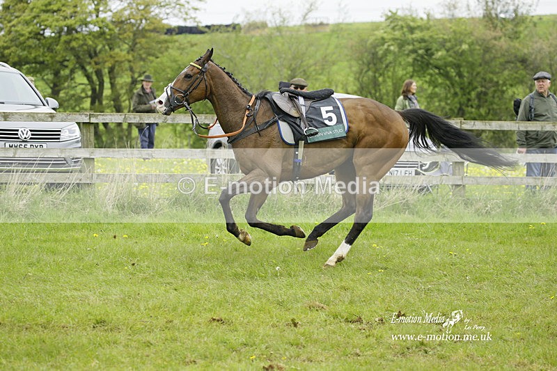 PtP 020522 155 - Mollington Races Point-to-Point 02/05/22