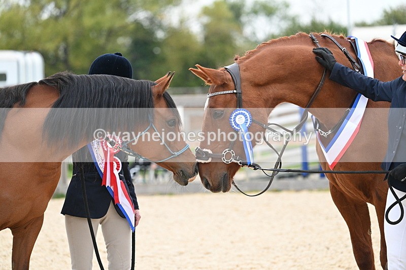 WJ7_1993 - Class 1 & Champs