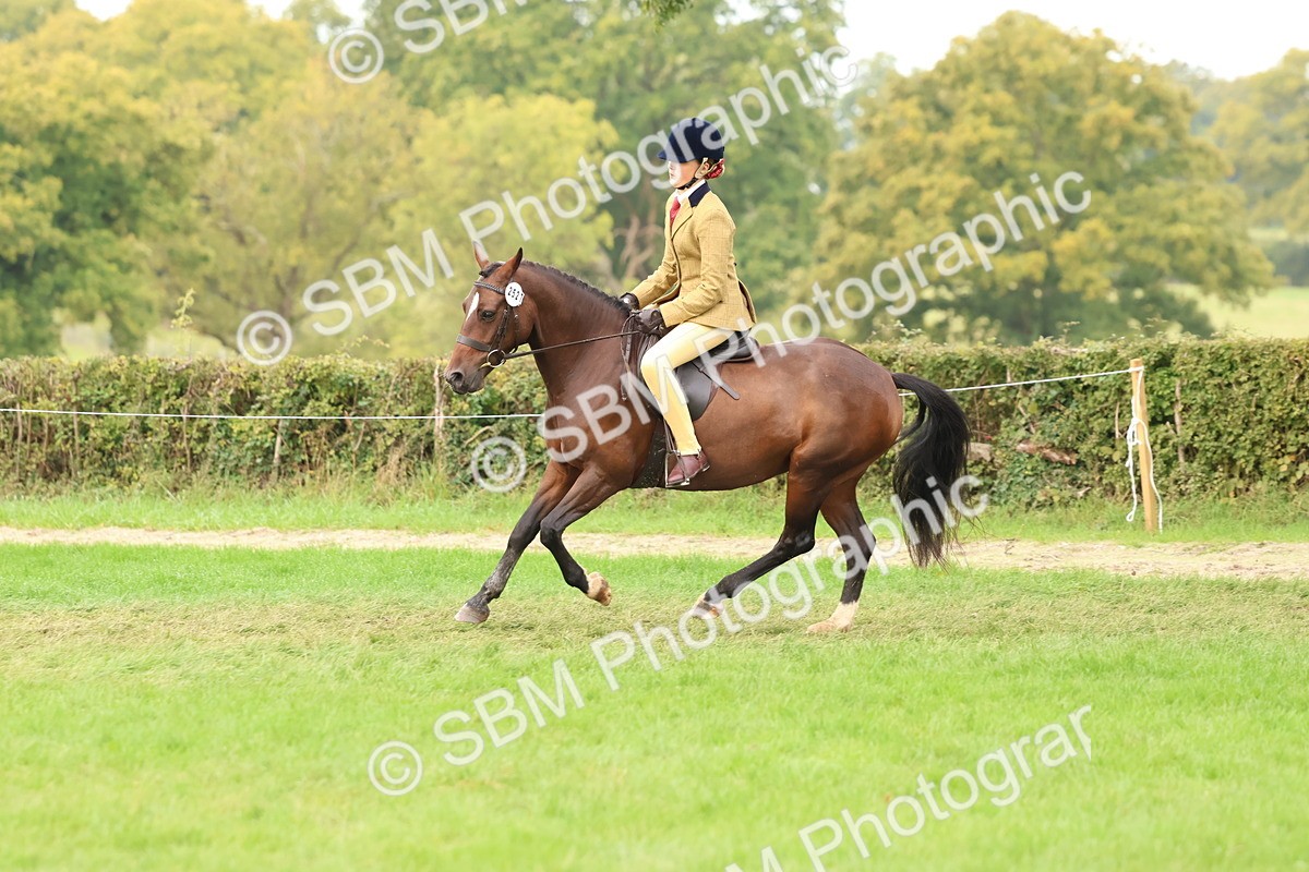 SBM_56715 - S40 - Starters Ridden Showing