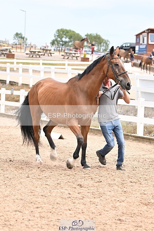 250716-144948-01442 - Trot Up 2.30 to 3.30