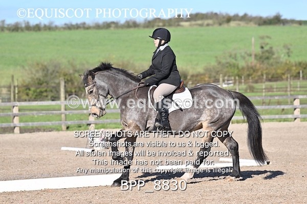 BPP_8830 - LONG ARENA