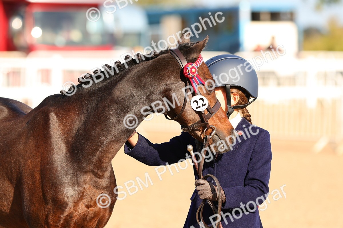 SBM_08649 - Class 203 - Young Handler 10 Years and Under