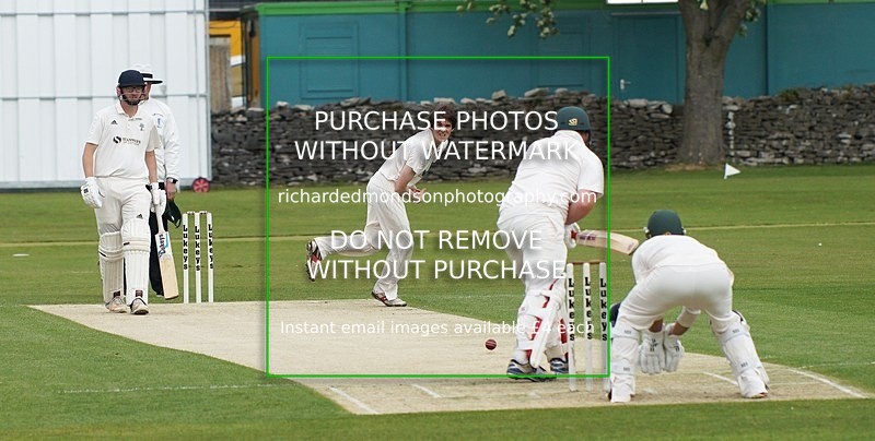 DSC09478_edited-1 - Cricket Images 2019