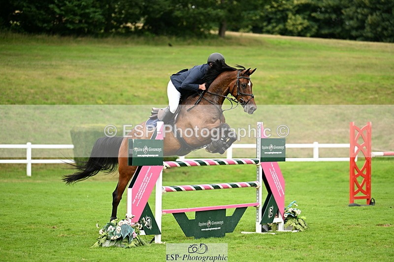 250706A-140539-20375 - Cls 45 Snr 1.20m Grand Prix