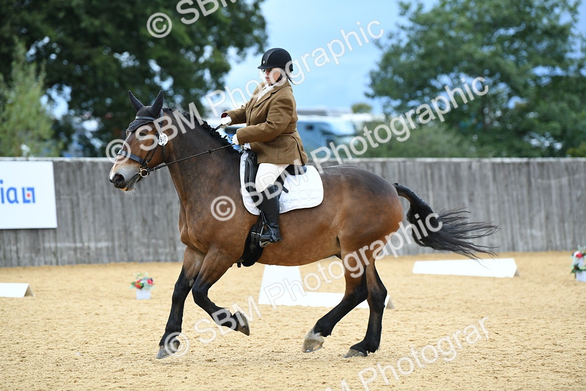 SBM_10030 - D15 Small Tour Championship Novice 24