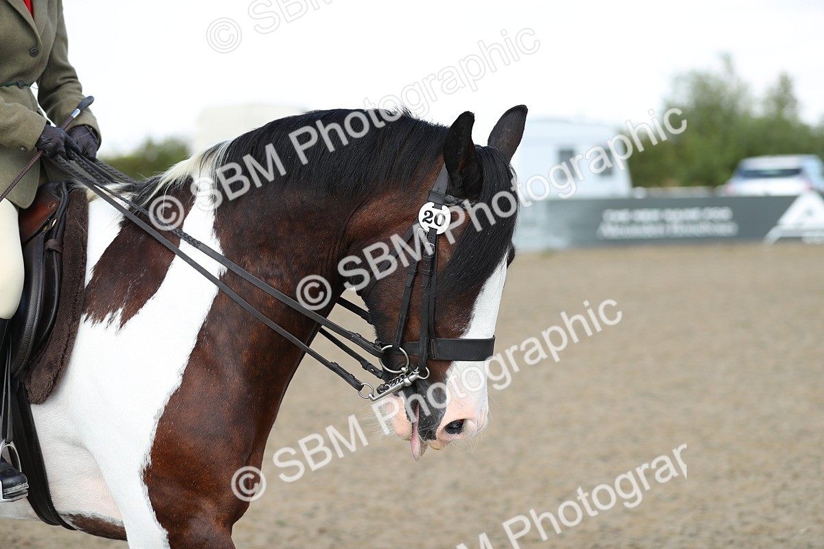 SBM_06969 - Class 49b Style & Performance 80cm (20+)