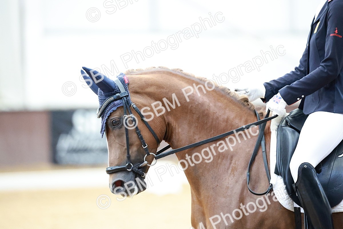 SBM_017178 - Class15 - FEI Pony