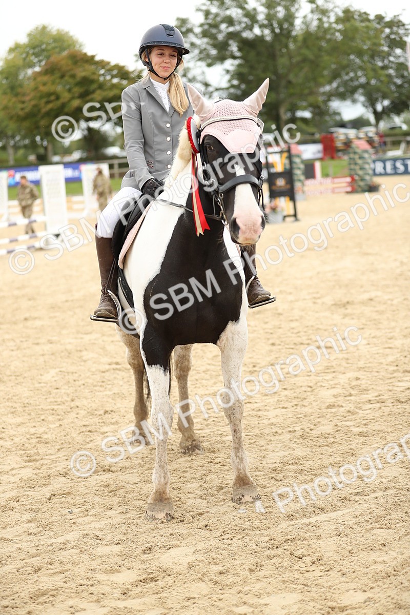 SBM_63175 - Supreme championship 75cm 80cm