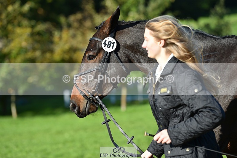 231022-104408-22706 - 481-DUKES.VISION-Abi.Stuart-TrotUp+SJ