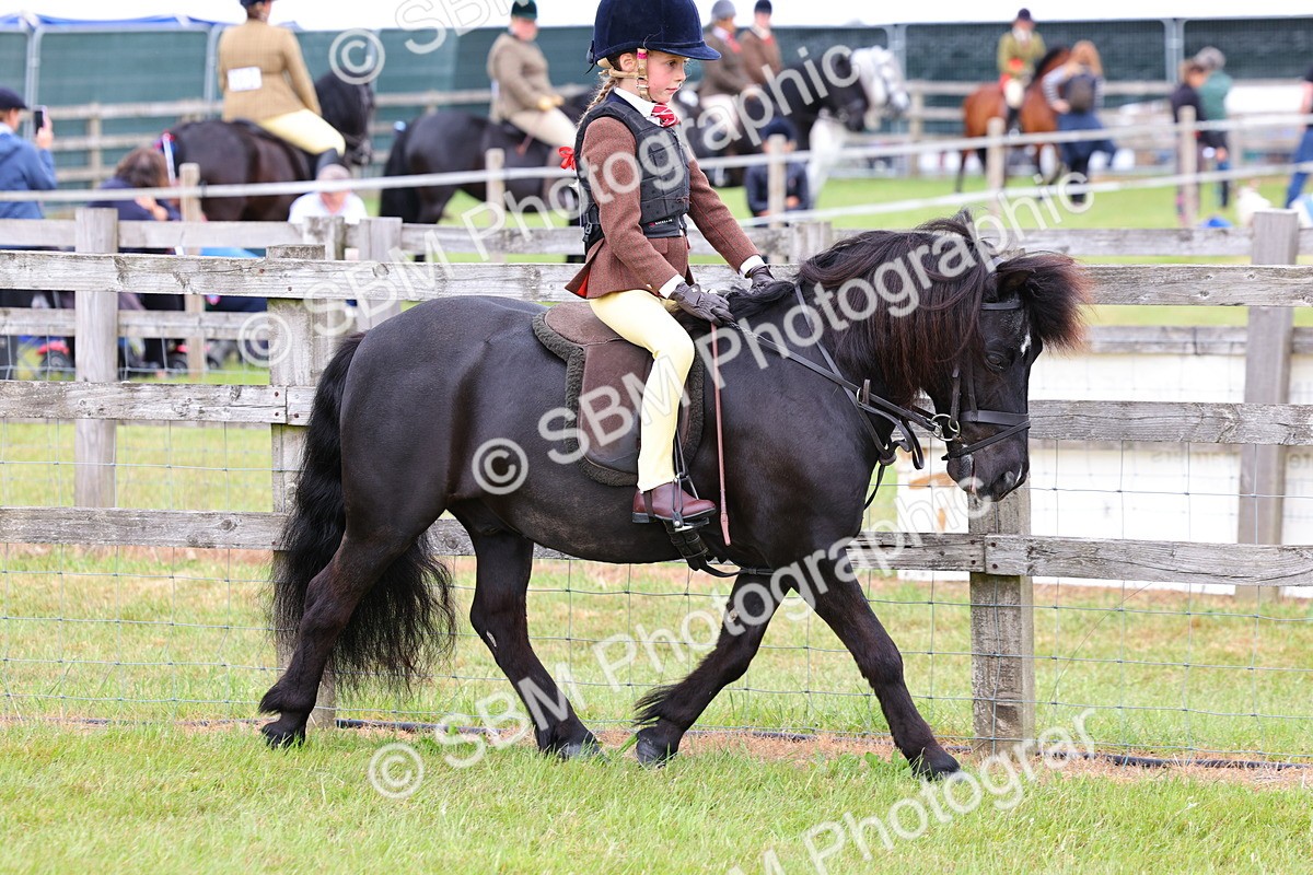 SBM_08498 - Class 42-43 - LIHS BSPS Heritage Working Sports Pony