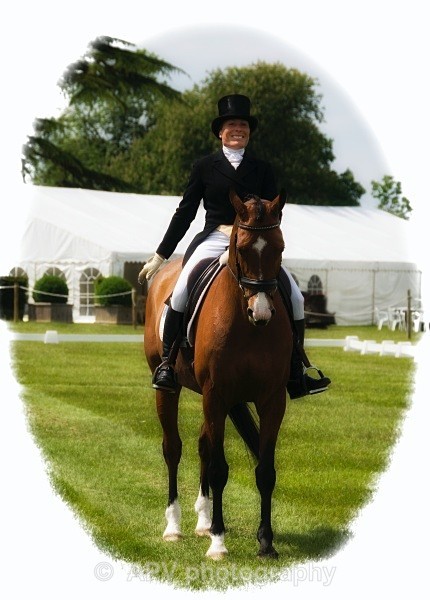  - Horses'n'Ponies