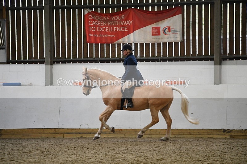 WJ5_6137 - Class 9 Ridden Veteran