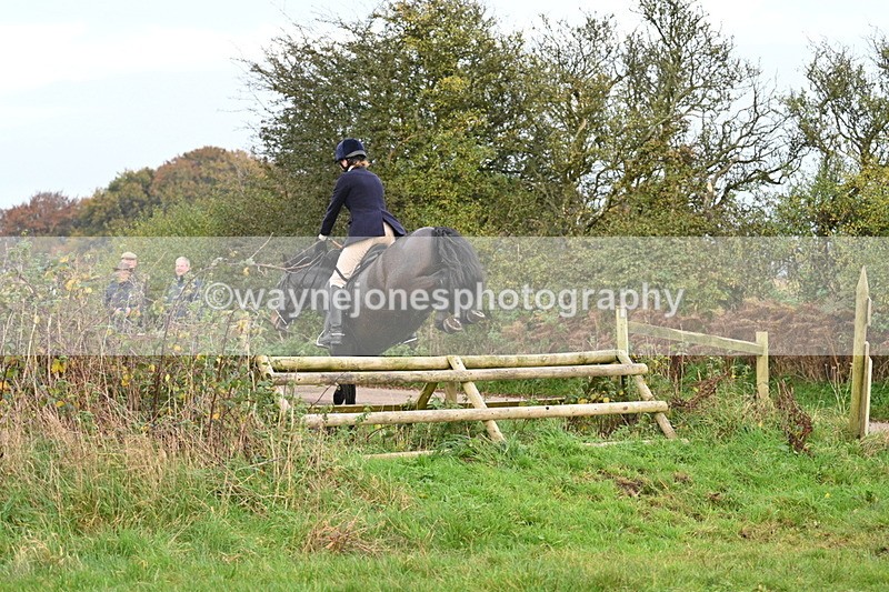 WJ7_0391 - Camera 1 & Last fence