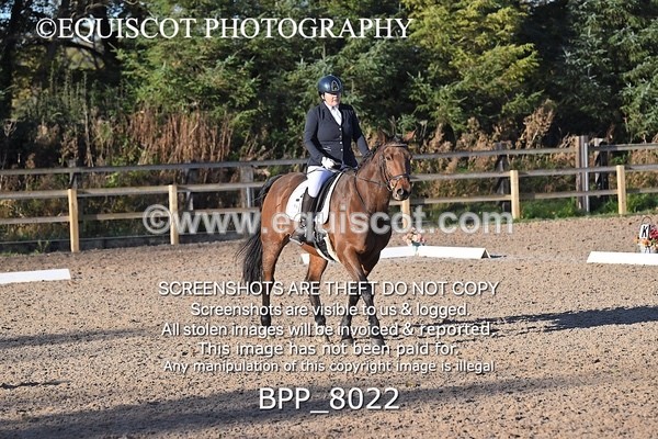 BPP_8022 - LONG ARENA