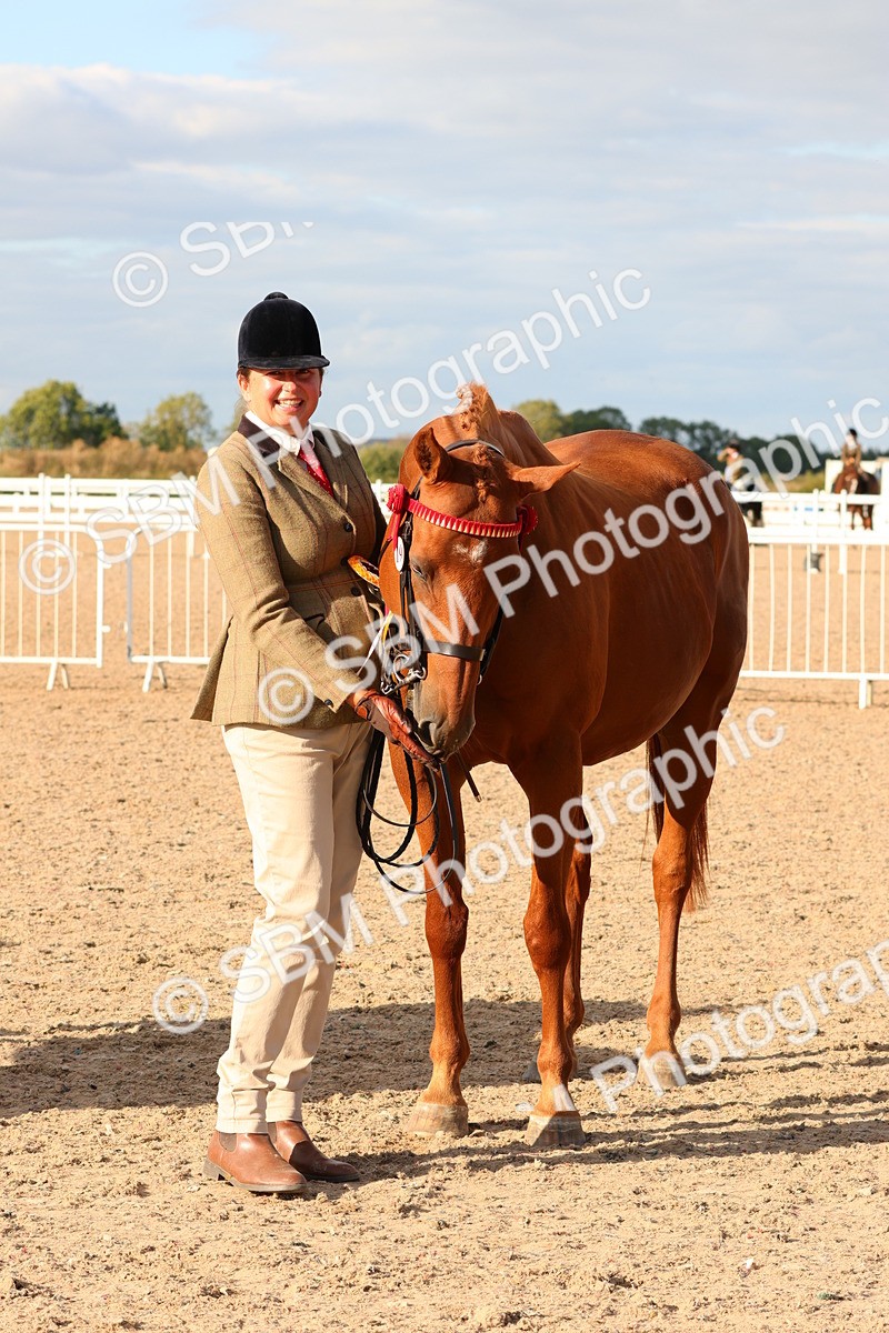 SBM_18428 - Class 318 - IH Part Bred Horse Pony