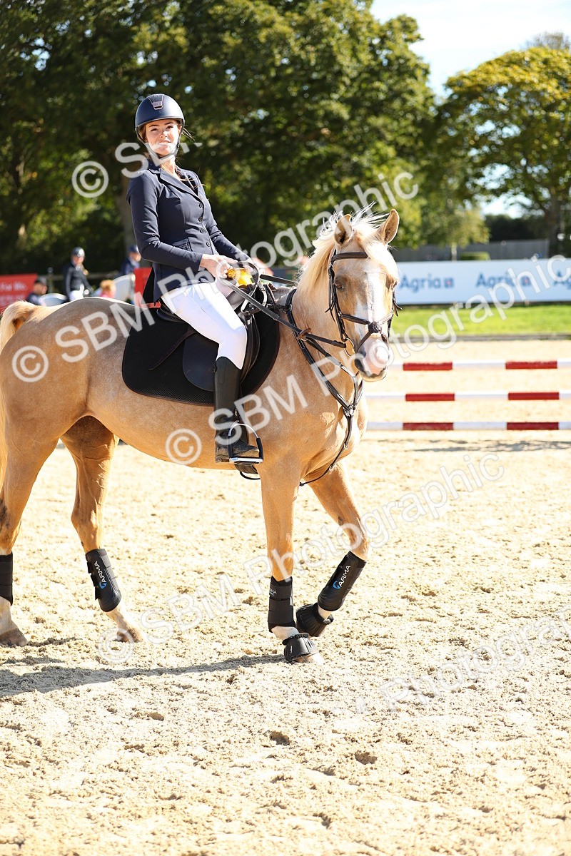 SBM_17824 - J33 - Senior 75cm Championship