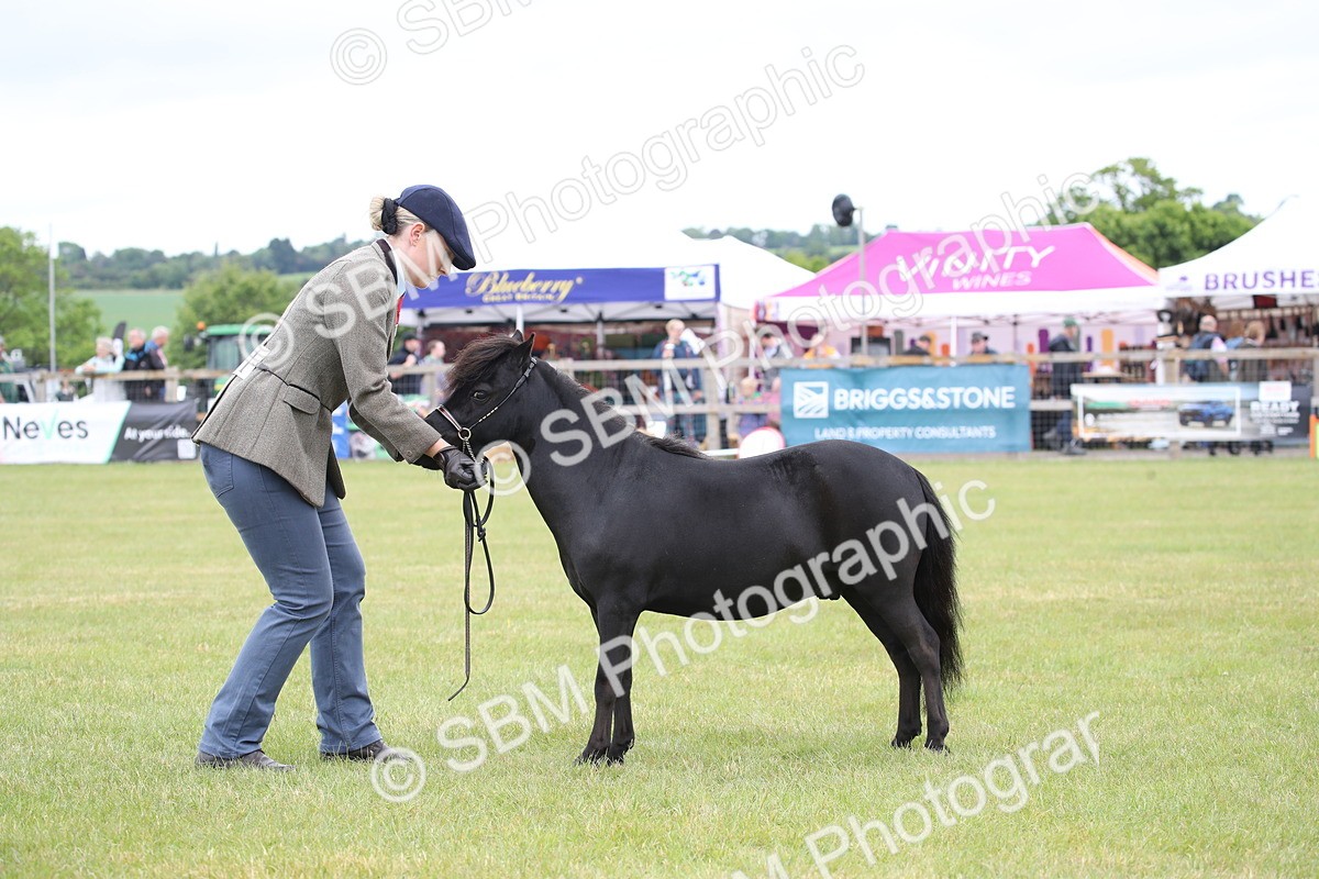 SBM_03956 - Class 23-25 - British Miniature Horse of the Year