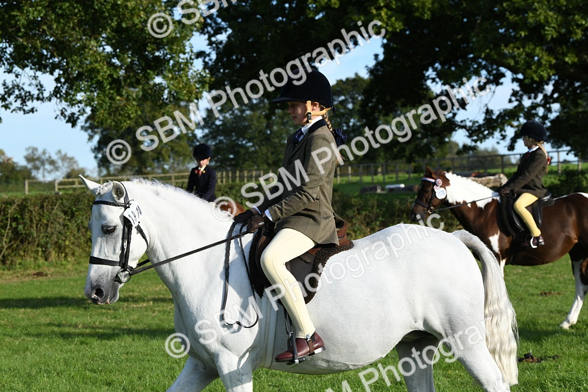 SBM_52423 - S22 - 1st Ridden Show & Show Hunter Pony