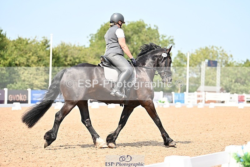 250816-132909-04707 - 115-Alison.AndrewsBercoed.Sambo