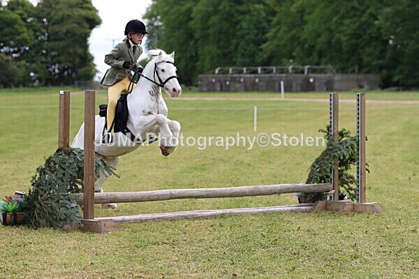 IMG_2526 - Working Hunter