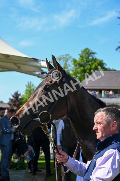 140525-Race 4-Whirl-2525 - Race 4 3.45pm Tattersalls Musidora Stakes