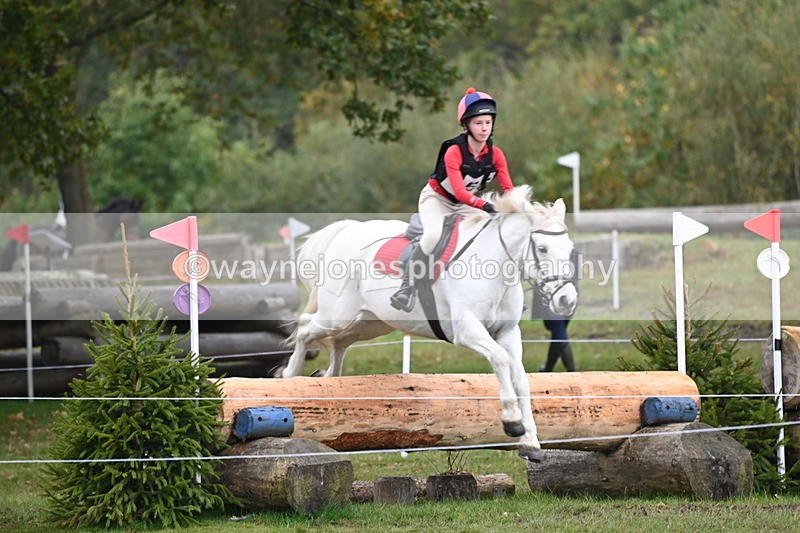 WJ6_2642 - 80cm Cam 1 Time 11:23 to 12:04