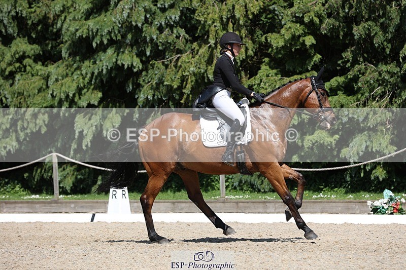 230526-150308-06612 - 377-GOLD_NUGGET-Jillian_Giessen-WEDTrotUp+DR